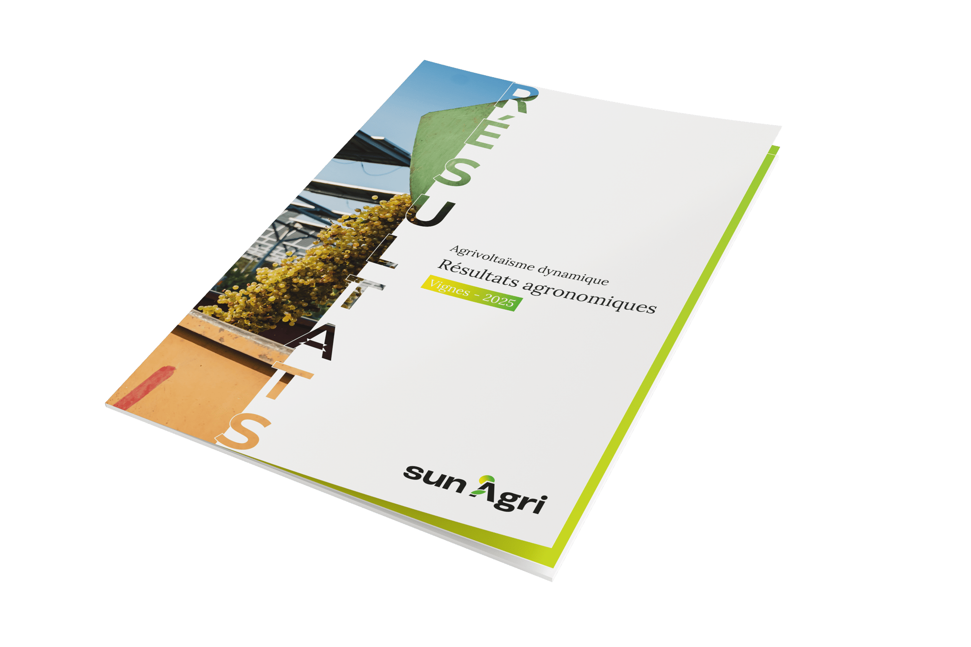 livre blanc viti 2025